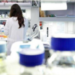 La Fundación La Caixa financia dos proyectos portugueses de investigación contra el coronavirus