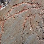 Arqueólogos descobrem na Raia uma das maiores figuras rupestres do mundo