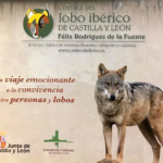 El Centro del Lobo Ibérico de Castilla y León alcanza los 200.000 visitantes