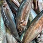 El Ministerio de Agricultura modifica al alza los topes de captura de la sardina ibérica para el Cantábrico y Noroeste