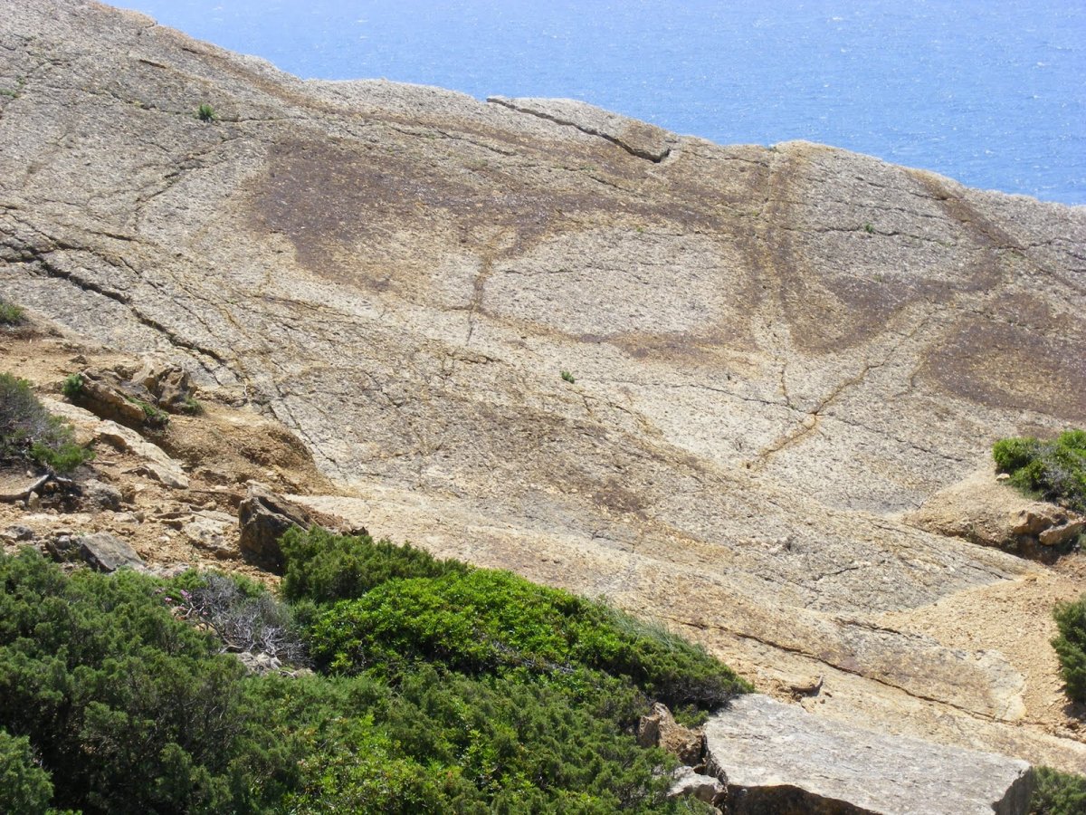 Paleontólogos descobrem nova espécie de dinossauro gigante na Catalunha,  Espanha