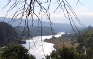 Vista del río Minho rodeado de vegetación y ramas secas.