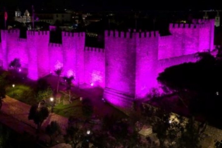 Castillo iluminado de color roxo en la noche