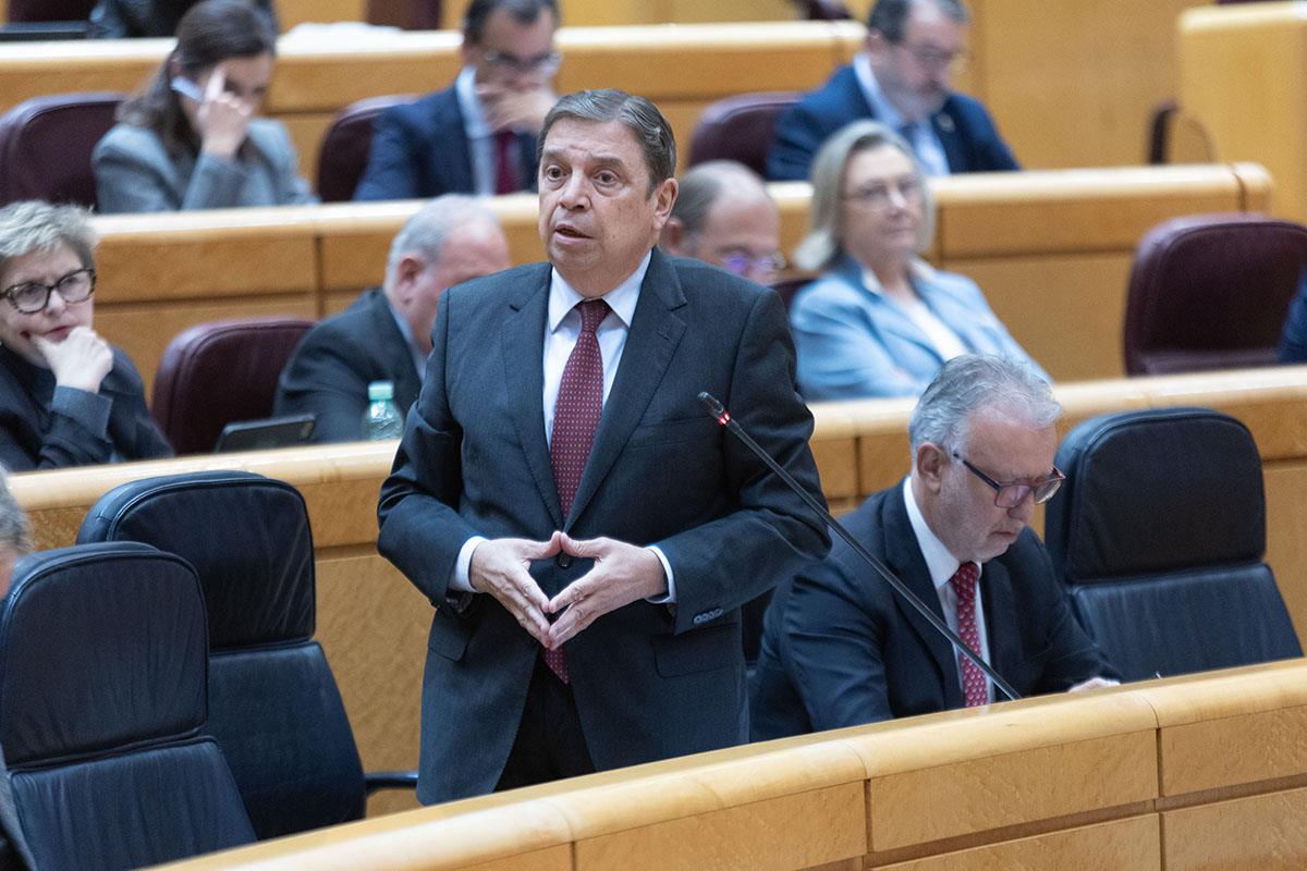 Luis Planas hablando sobre Mercosur en el Senado español