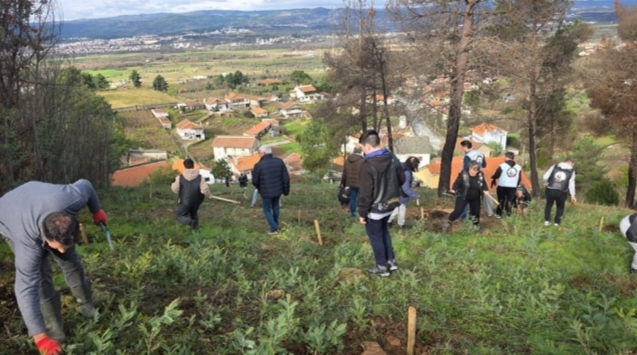 Grupo de personas trabajando en un terreno agrícola en Portugal
