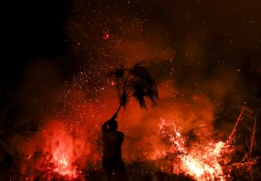 Persona luchando contra incendios en un entorno forestal ardiente