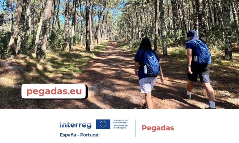 Jóvenes caminando por un sendero en un bosque durante el programa Pegadas
