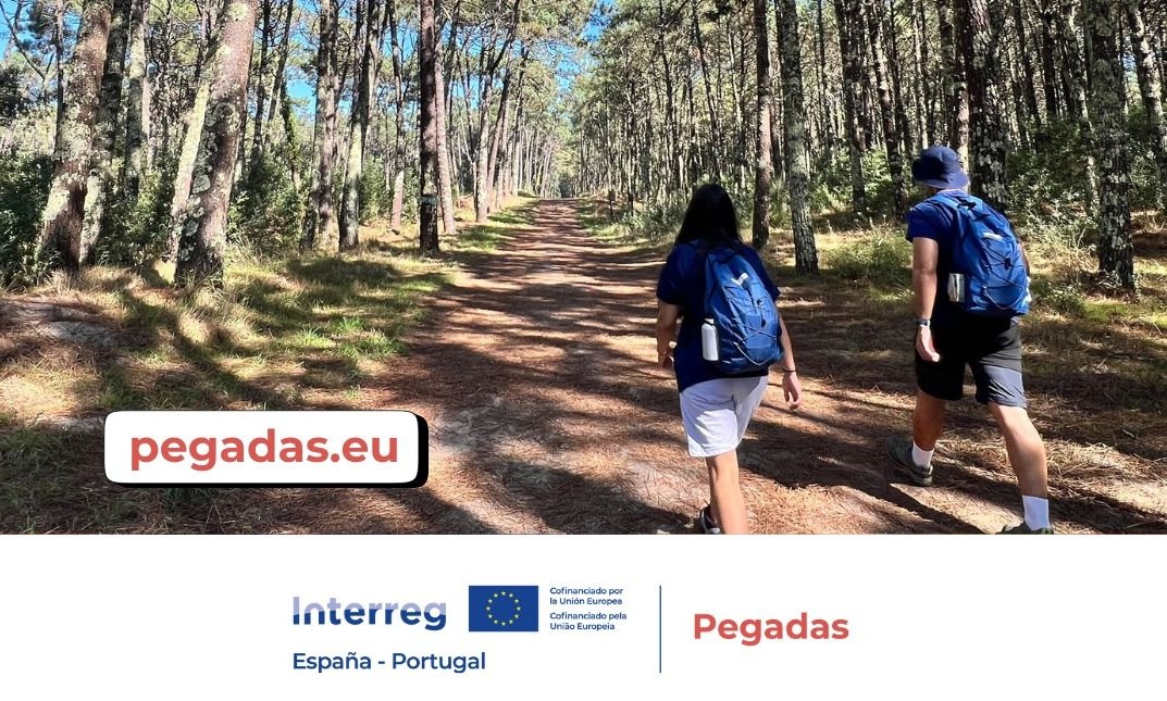 Jóvenes caminando por un sendero en un bosque durante el programa Pegadas