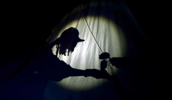 Sombra de una marioneta interactuando con una flor en un escenario