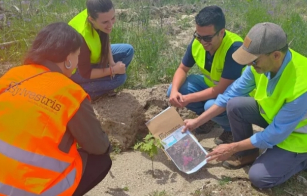 Grupo de personas trabajando en un proyecto forestal en Portugal