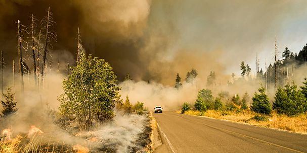 Paisaje de bosque con humo y fuego en el camino