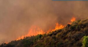 Incendio forestal en Almería con llamas y humo visible