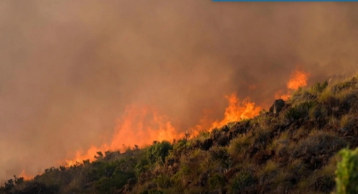 Incendio forestal en Almería con llamas y humo visible