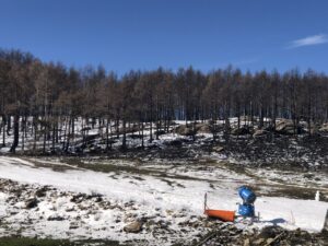 Paisaje de árboles quemados y nieve tras un incendio en la península ibérica