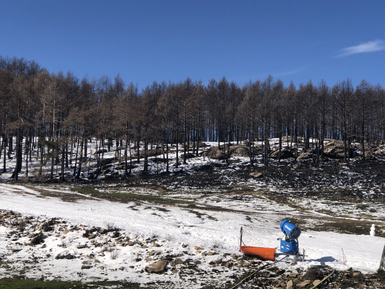 Paisaje de árboles quemados y nieve tras un incendio en la península ibérica