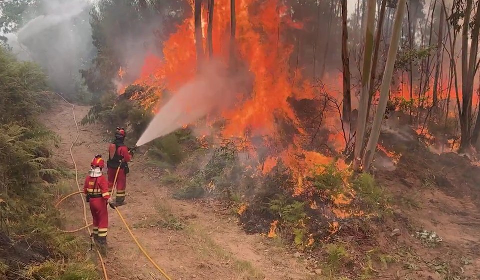 Bombeiros espanhóis luchando contra incendios en Portugal con mangueras