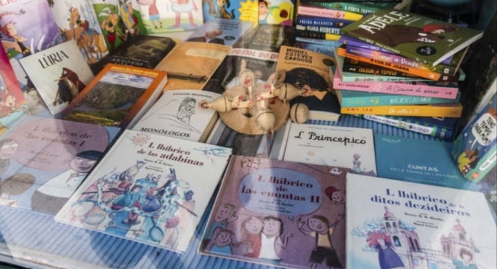 Libros en mirandés y otros idiomas en una vitrina.