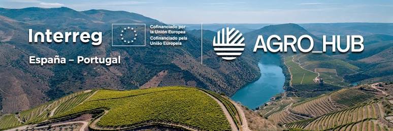 Vista panorámica de la región de Zamora y el norte de Portugal con viñedos